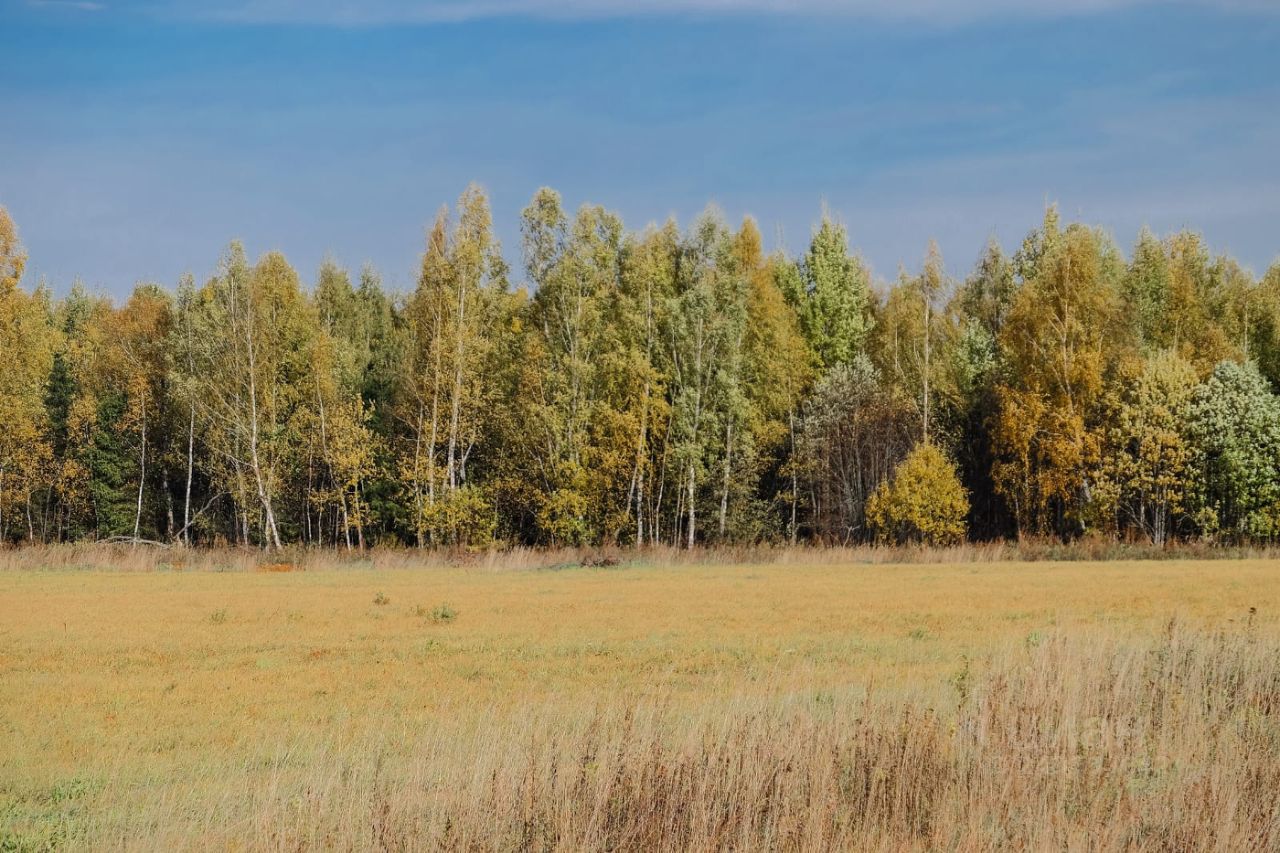 Купить загородную недвижимость в деревне Куркино Московской области,  продажа загородной недвижимости - база объявлений Циан. Найдено 3 объявления