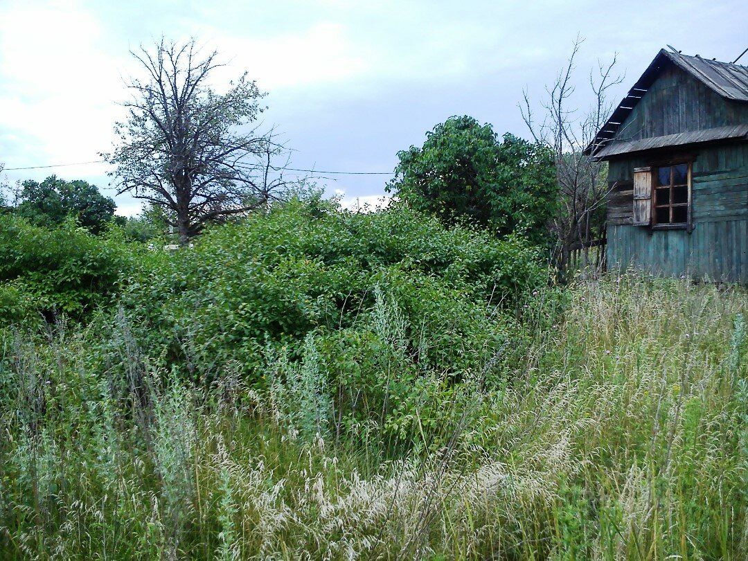 Купить дом в поселке Городище города Брянска, продажа домов - база  объявлений Циан. Найдено 3 объявления