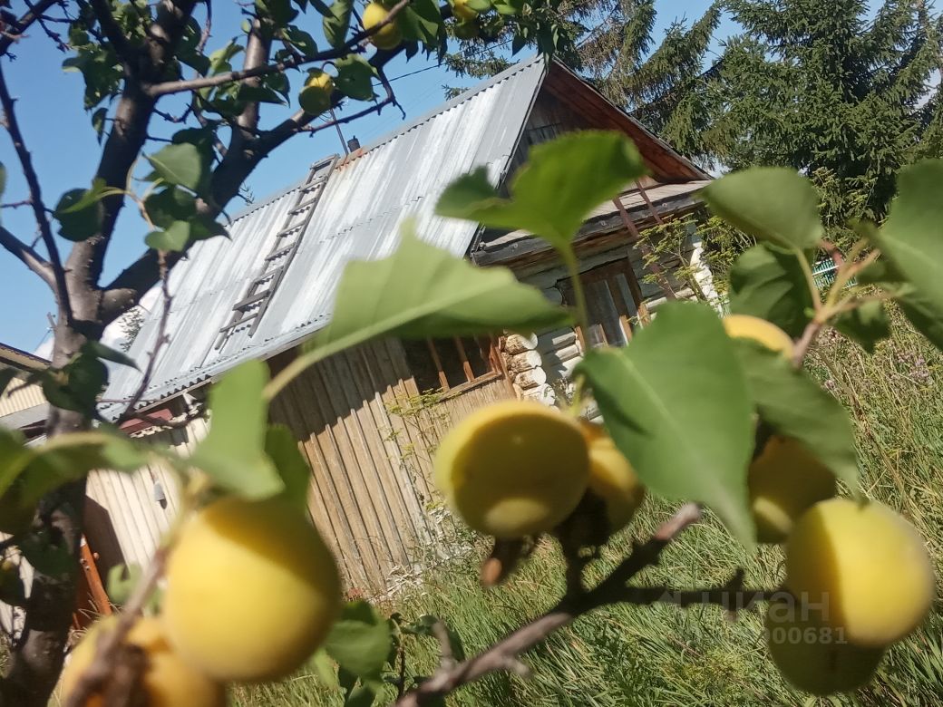 Купить загородную недвижимость в поселке Малый Бугодак Верхнеуральского  района, продажа загородной недвижимости - база объявлений Циан. Найдено 1  объявление