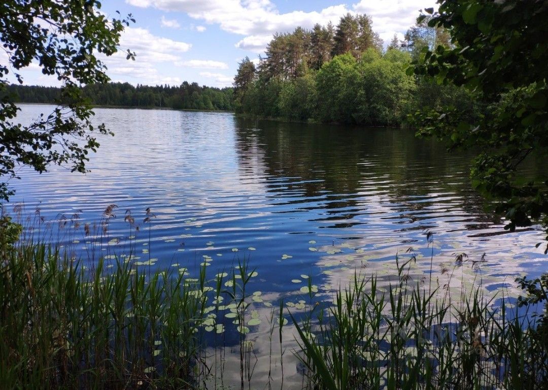 Купить загородную недвижимость в деревне Новая Ситенка Валдайского района,  продажа загородной недвижимости - база объявлений Циан. Найдено 11  объявлений