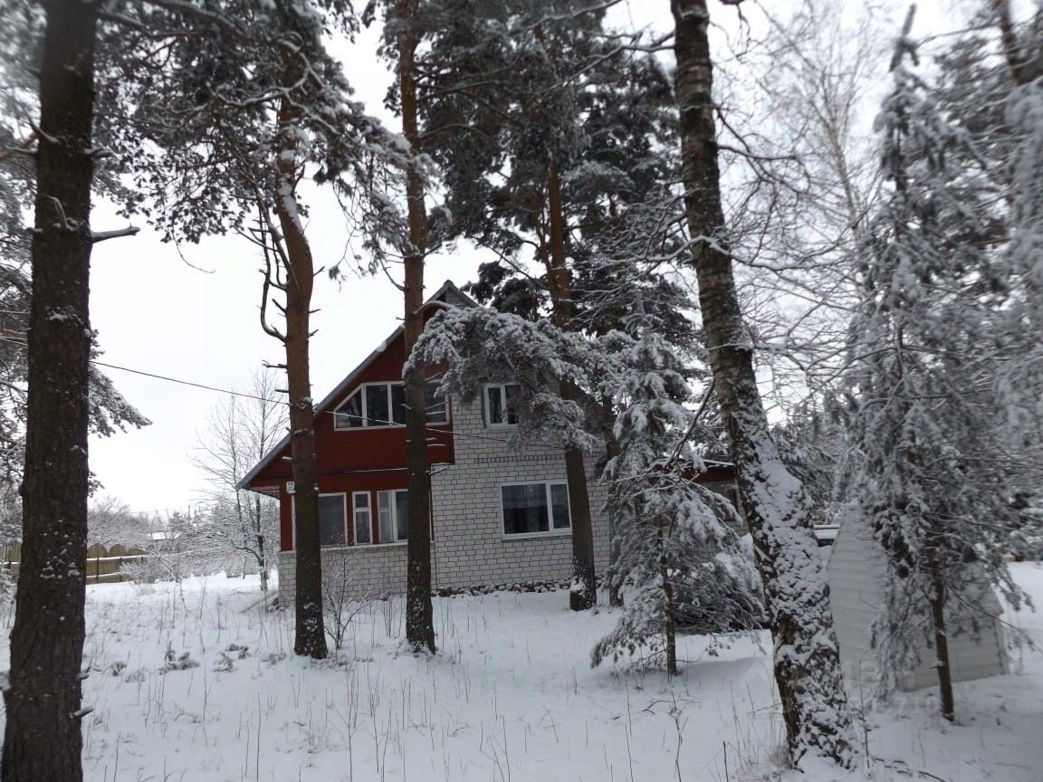 дом в деревне вистино (93) фото