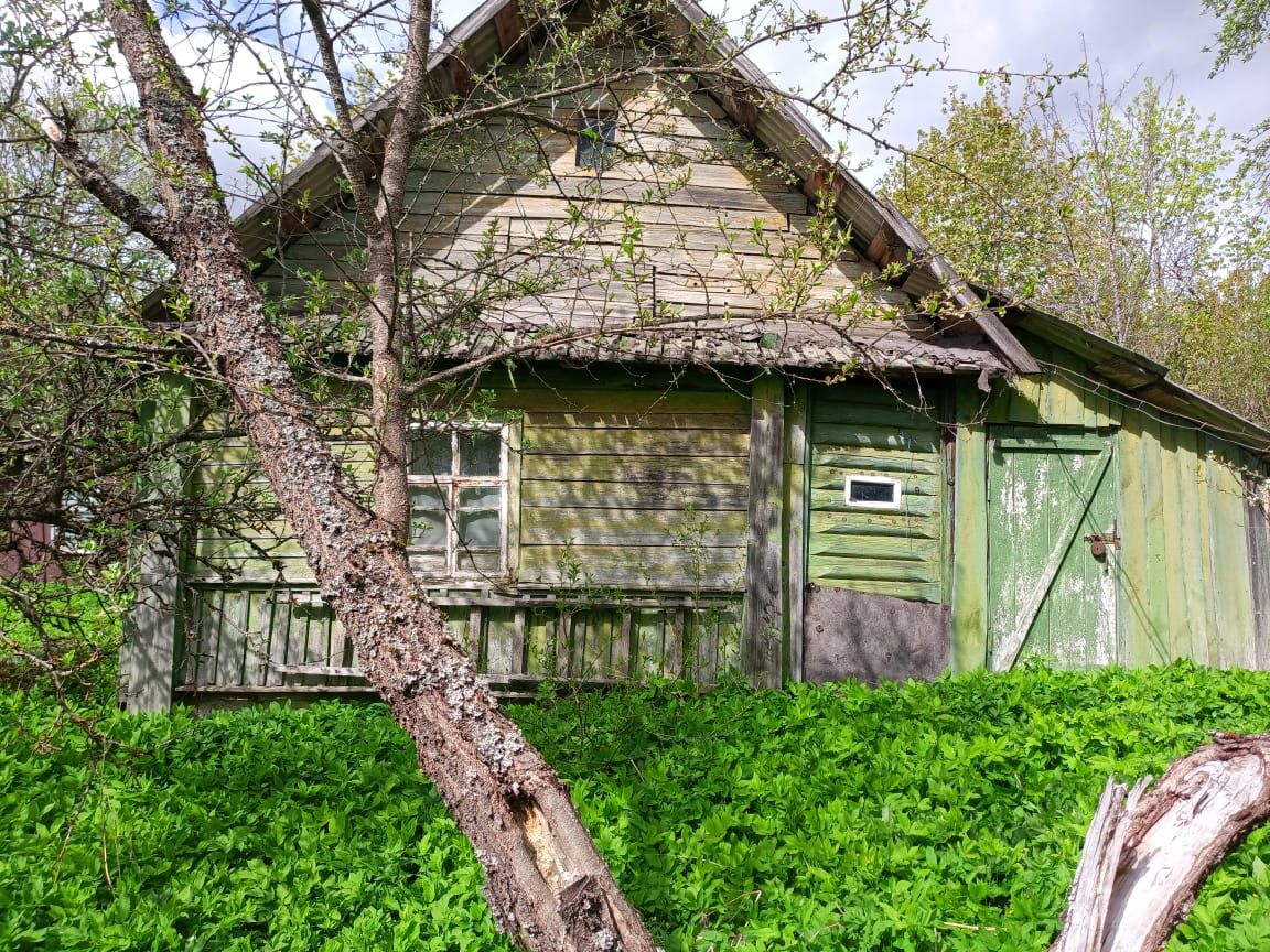 Купить загородную недвижимость в Новосокольническом районе Псковской  области, продажа загородной недвижимости - база объявлений Циан. Найдено 34  объявления