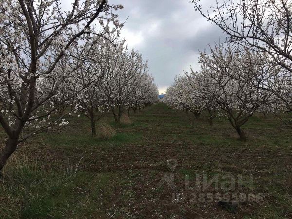 Ошибка загрузки фото