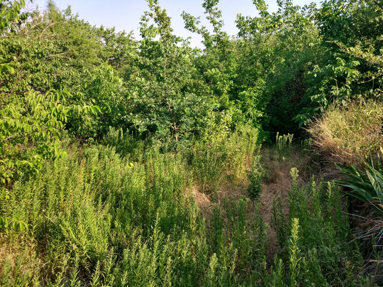 Купить загородную недвижимость в поселке Опытный Аксайского района, продажа  загородной недвижимости - база объявлений Циан. Найдено 2 объявления