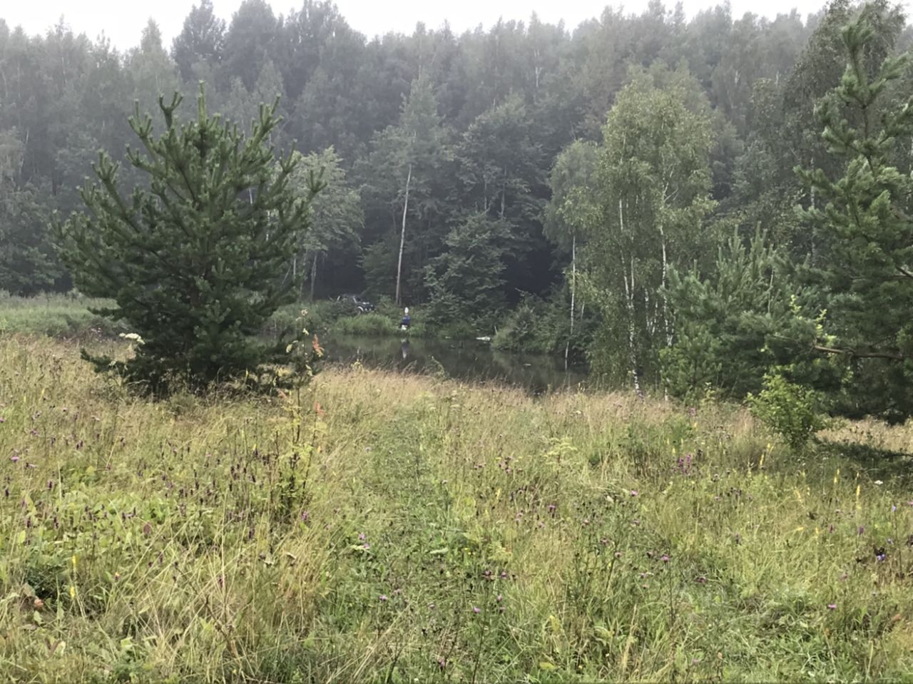 Купить загородную недвижимость в деревне Мышенки Заокского района, продажа  загородной недвижимости - база объявлений Циан. Найдено 1 объявление