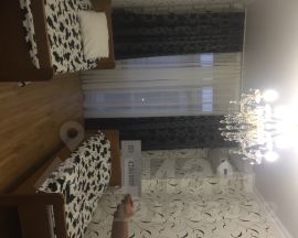 1-комн.кв., 55 м², этаж 2