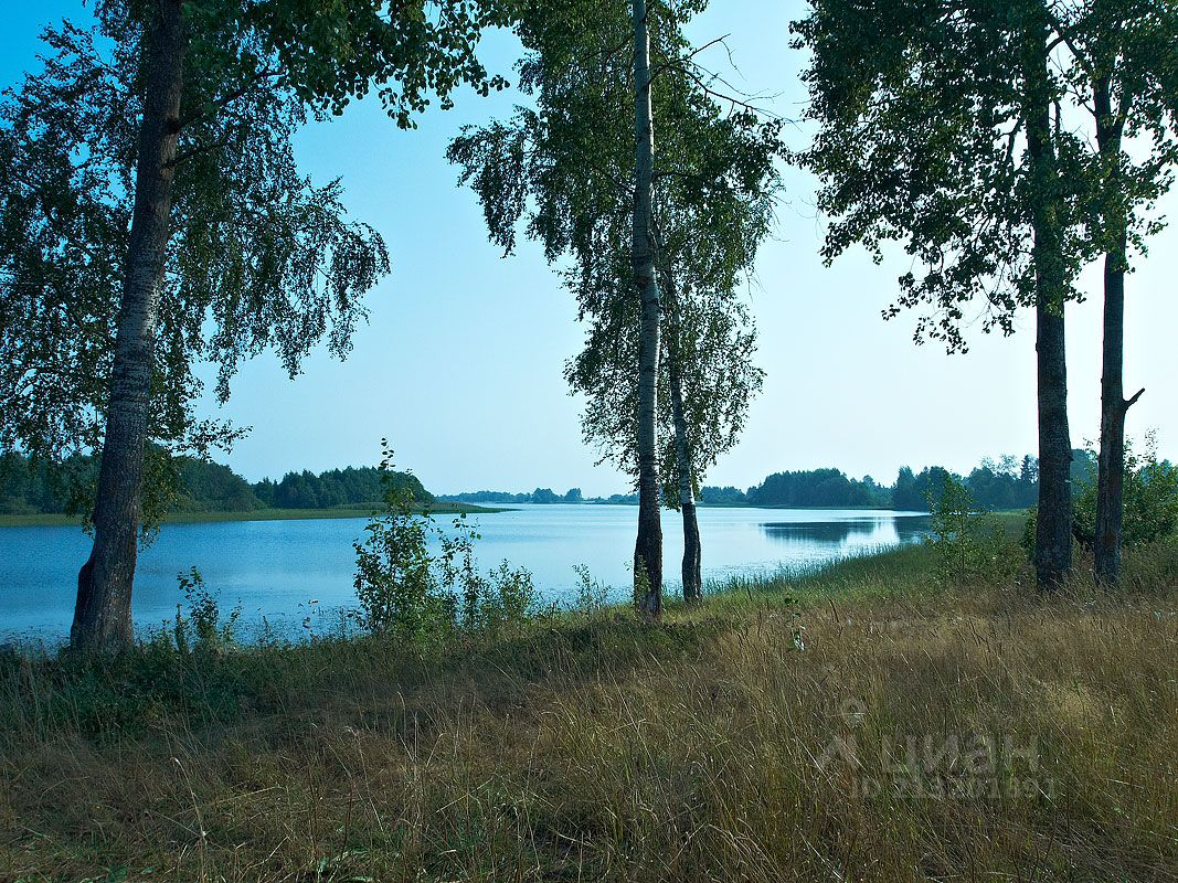 Купить земельный участок в СНТ Русь городского округа Шаховской, продажа  земельных участков - база объявлений Циан. Найдено 3 объявления