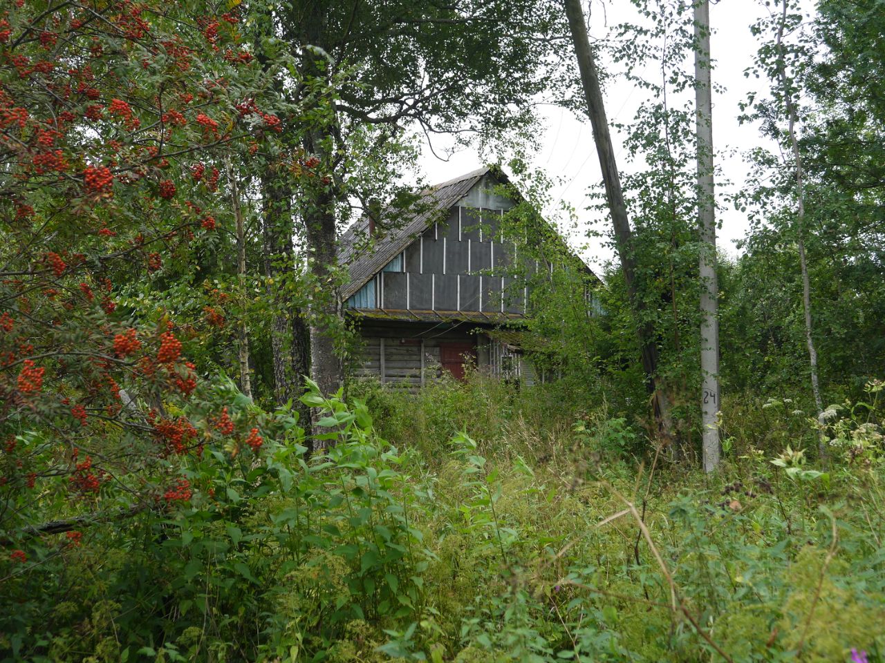 Купить загородную недвижимость в Дно, продажа загородной недвижимости -  база объявлений Циан. Найдено 5 объявлений