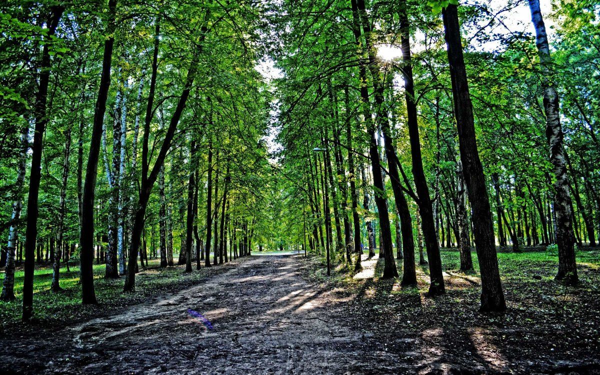 Парки