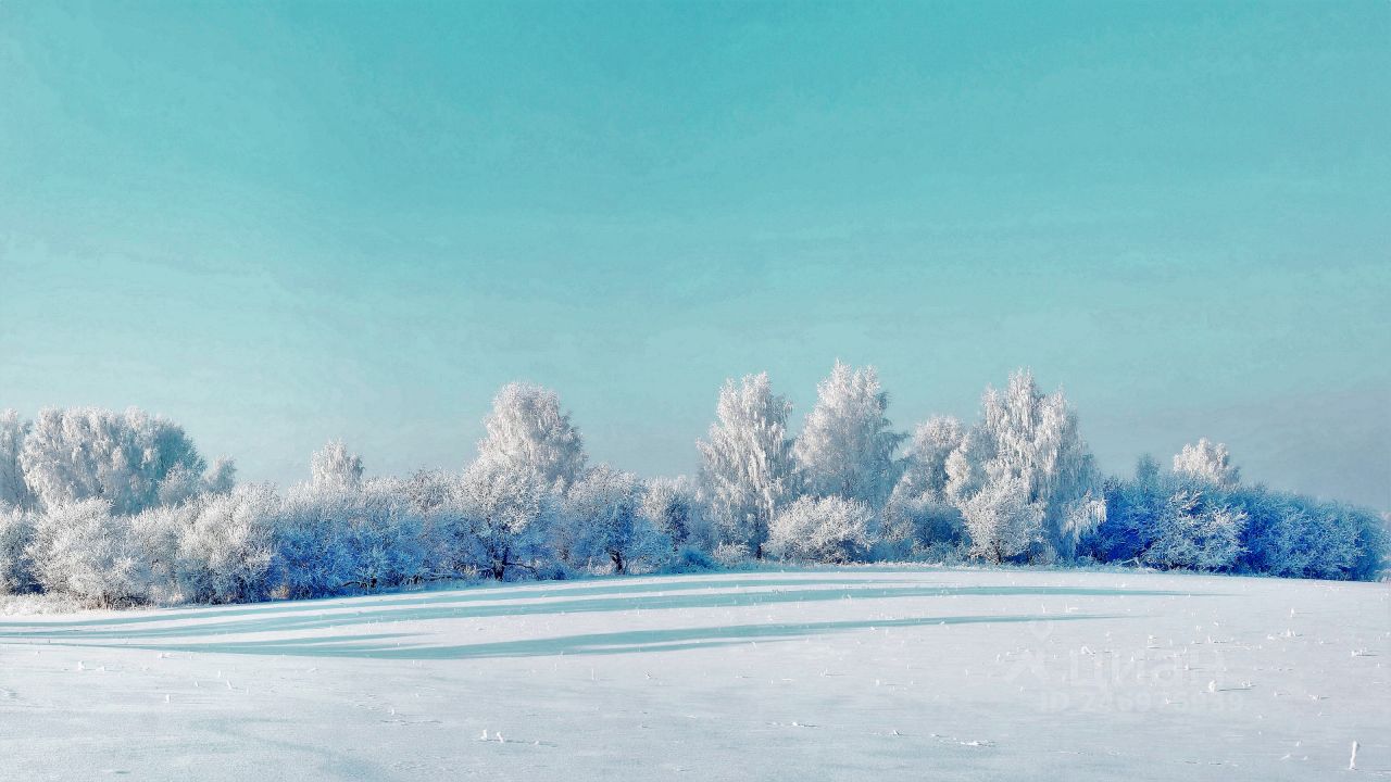 Купить загородную недвижимость на улице Лесная в селе Большая Каменка,  продажа загородной недвижимости - база объявлений Циан. Найдено 2 объявления