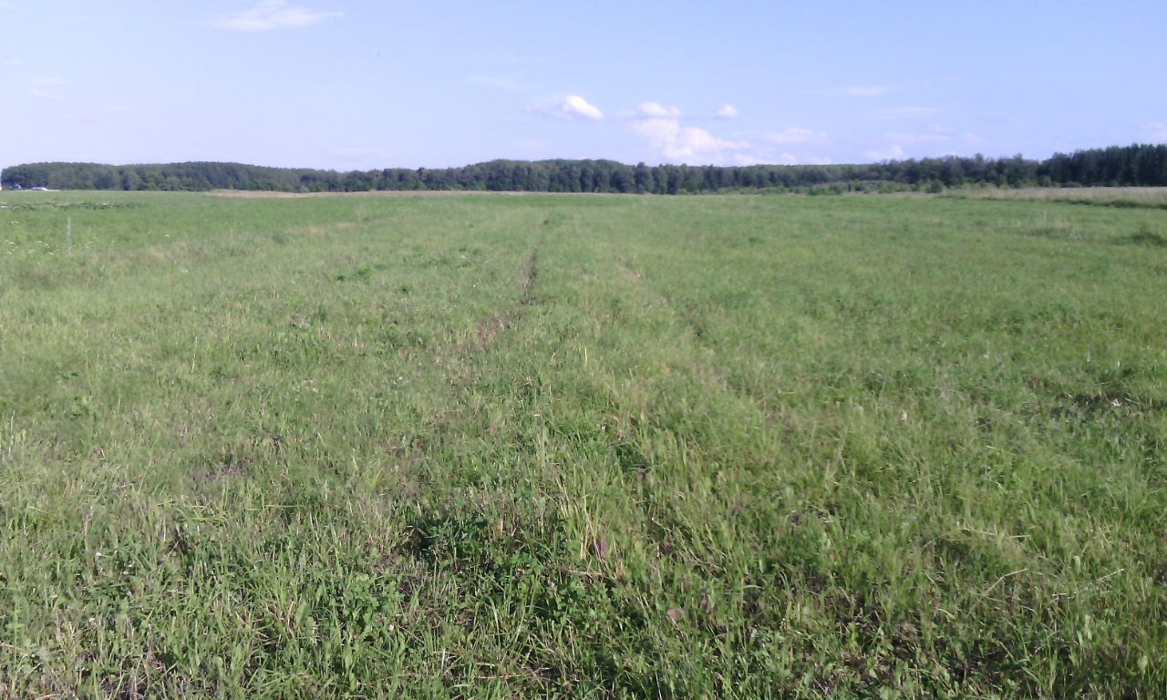 Купить загородную недвижимость в Красноармейском районе республики  Чувашская, продажа загородной недвижимости - база объявлений Циан. Найдено  4 объявления