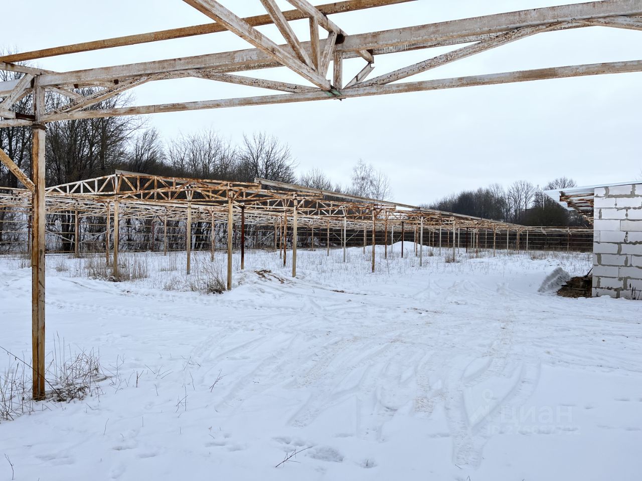 Коммерческая земля в Курская область, Железногорск  (41.0 сот.)