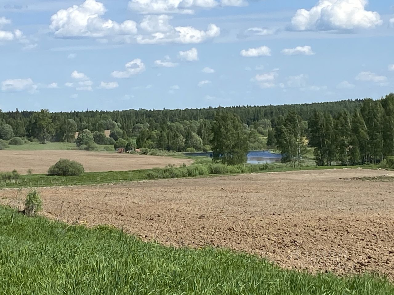 Купить загородную недвижимость в деревне Шапкино Московской области,  продажа загородной недвижимости - база объявлений Циан. Найдено 1 объявление