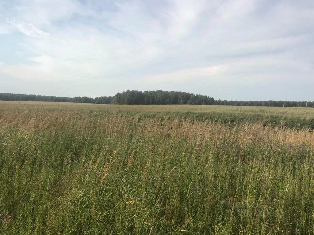 Купить загородную недвижимость в деревне Климовское Калужской области,  продажа загородной недвижимости - база объявлений Циан. Найдено 4 объявления