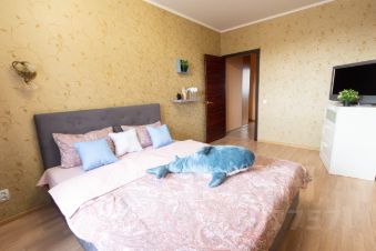 2-комн.кв., 50 м², этаж 11