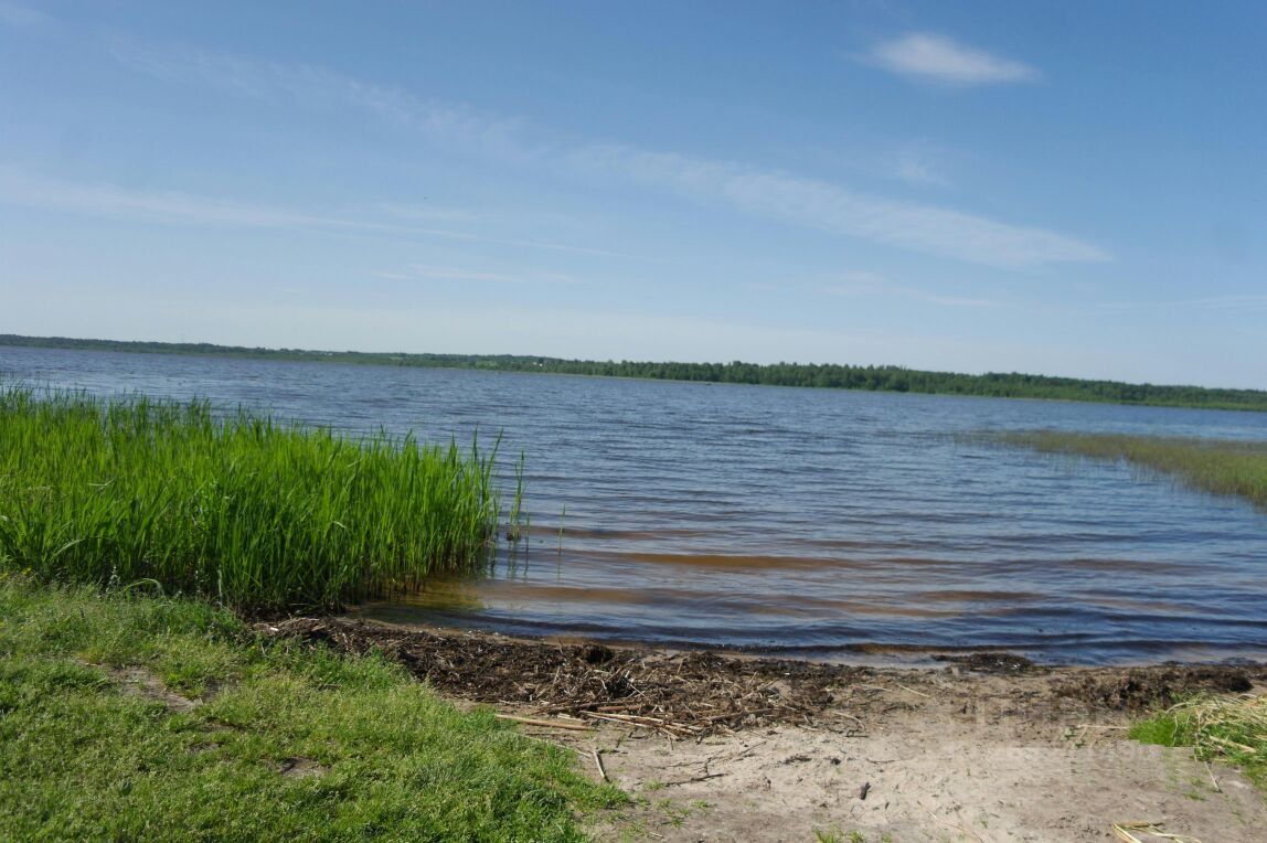 Купить земельный участок в СНТ Вашутино городского округа  Переславля-Залесского, продажа земельных участков - база объявлений Циан.  Найдено 5 объявлений