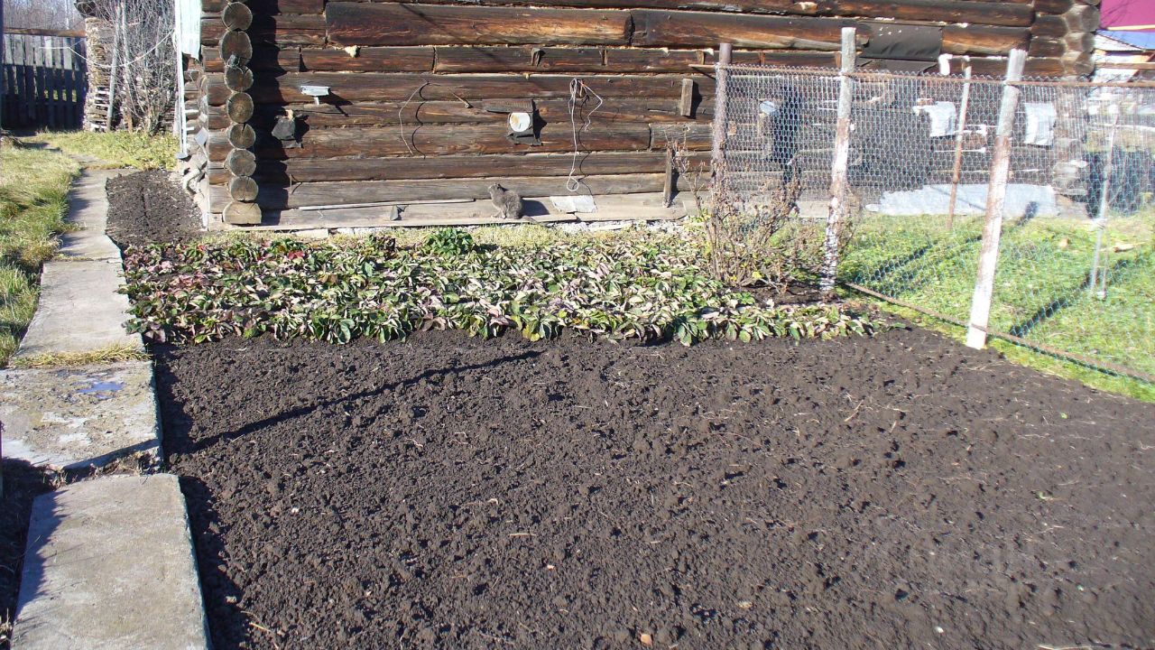 Купить загородную недвижимость в переулке Октябрьский в городе Воткинск,  продажа загородной недвижимости - база объявлений Циан. Найдено 1 объявление