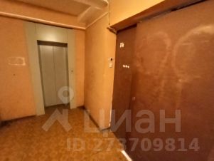 комната 80/14 м², этаж 8