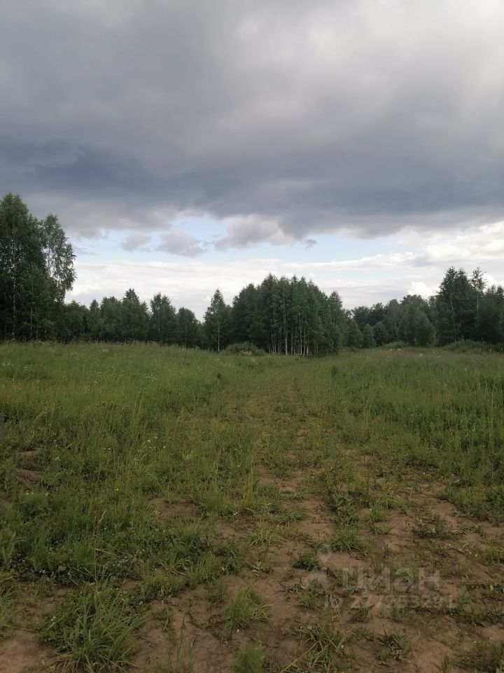 На фотографии видно открытое пространство с высокой травой и редкими кустарниками. Земля имеет песчаный оттенок, а вдалеке можно заметить группы деревьев, создающих естественные границы. Небо затянуто облаками, что придает сцене спокойную атмосферу. Пространство кажется уединенным и подходит для создания загородного участка или сада. Высокая трава и растительность придают живописный вид, а отсутствие построек подчеркивает природную красоту местности.