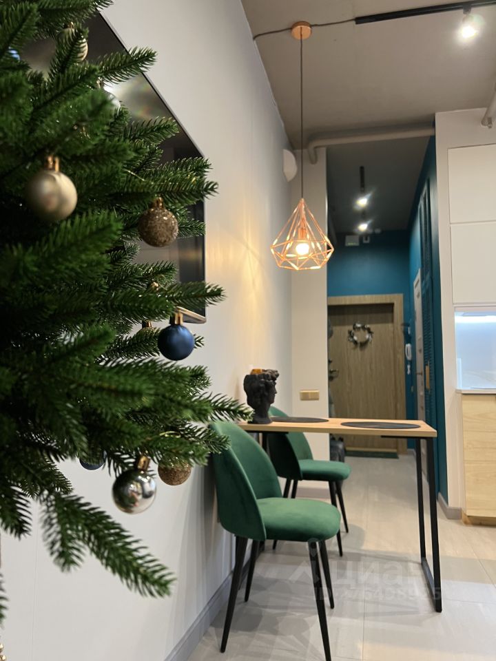 Студия Нижегородская область, Нижний Новгород ул. Максима Горького, 23А (25.0 м²)