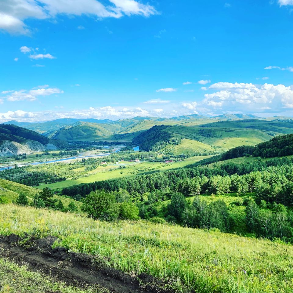 Купить земельный участок в селе Красный Партизан Чарышского района, продажа  земельных участков - база объявлений Циан. Найдено 1 объявление