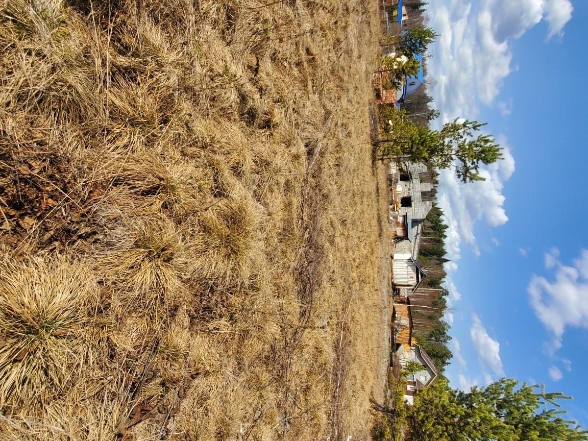 Купить земельный участок в СНТ Янтарь городского округа Верхней Пышмы,  продажа земельных участков - база объявлений Циан. Найдено 2 объявления