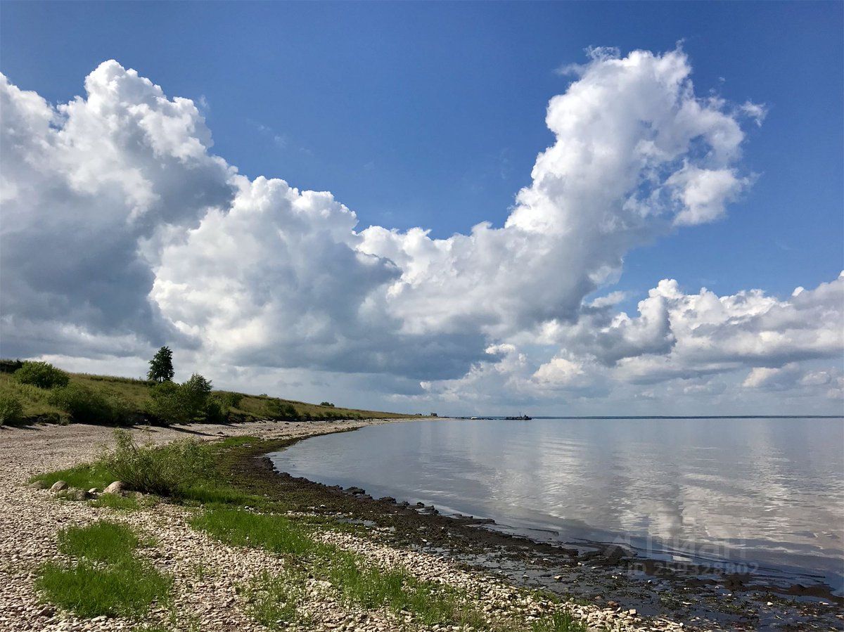 Купить загородную недвижимость в деревне Береговые Морины Новгородского  района, продажа загородной недвижимости - база объявлений Циан. Найдено 12  объявлений