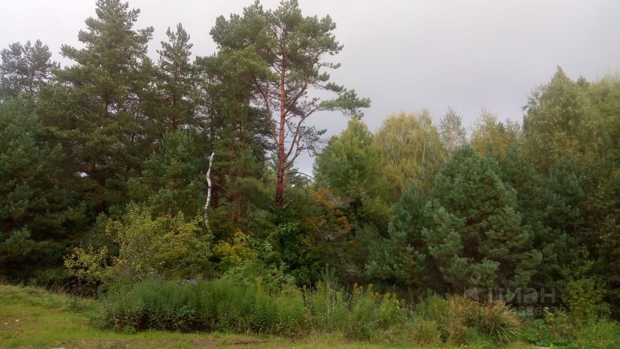 Купить загородную недвижимость в волости Глубоковская Опочецкого района,  продажа загородной недвижимости - база объявлений Циан. Найдено 1 объявление