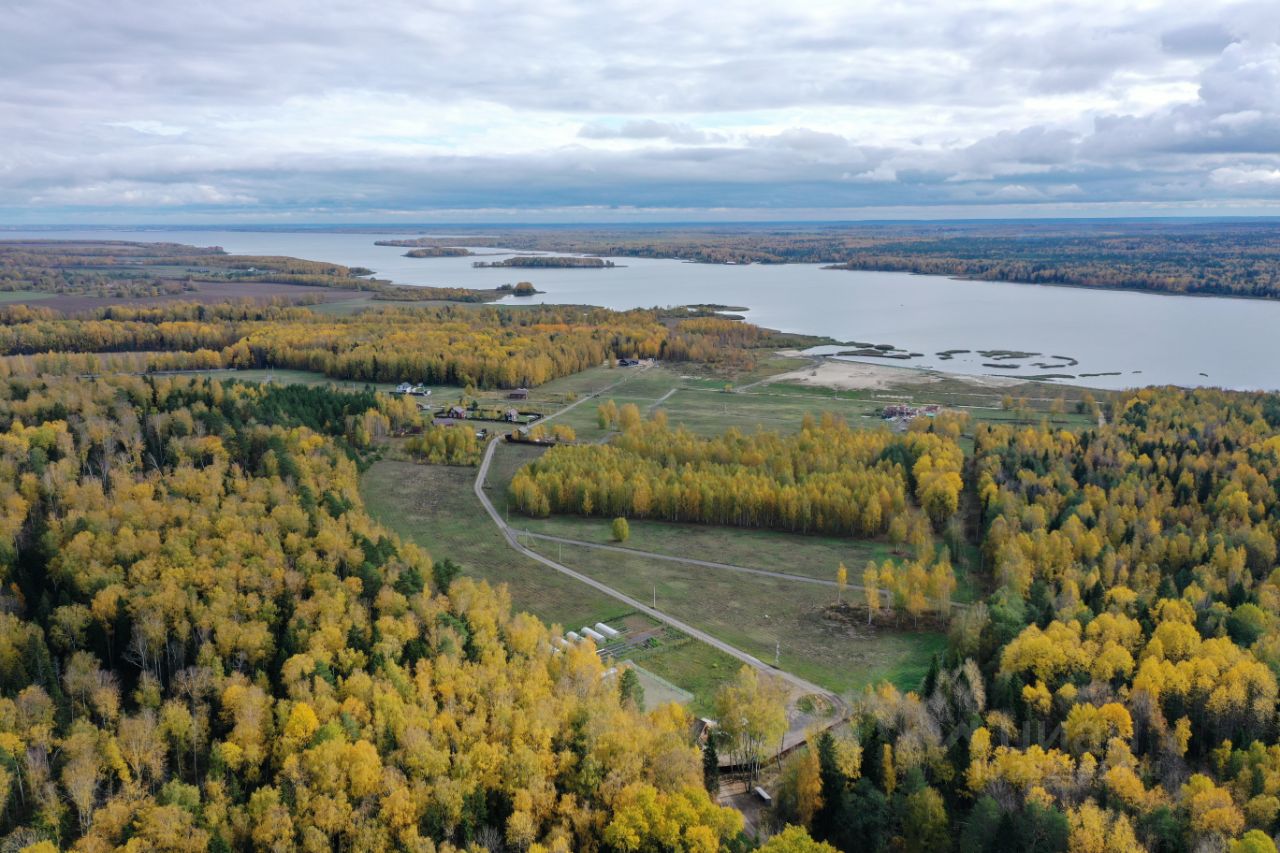 Купить земельный участок в деревне Гребнево Нижегородской области, продажа  земельных участков - база объявлений Циан. Найдено 3 объявления