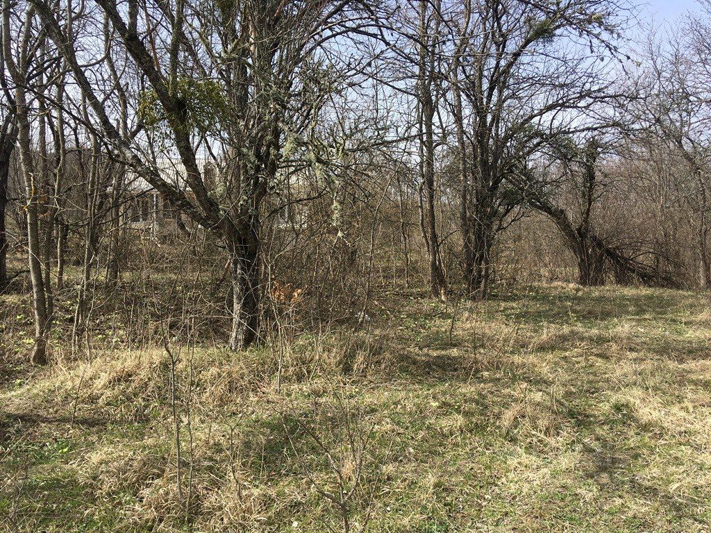 Купить загородную недвижимость в селе Марьевка Неклиновского района, продажа  загородной недвижимости - база объявлений Циан. Найдено 3 объявления