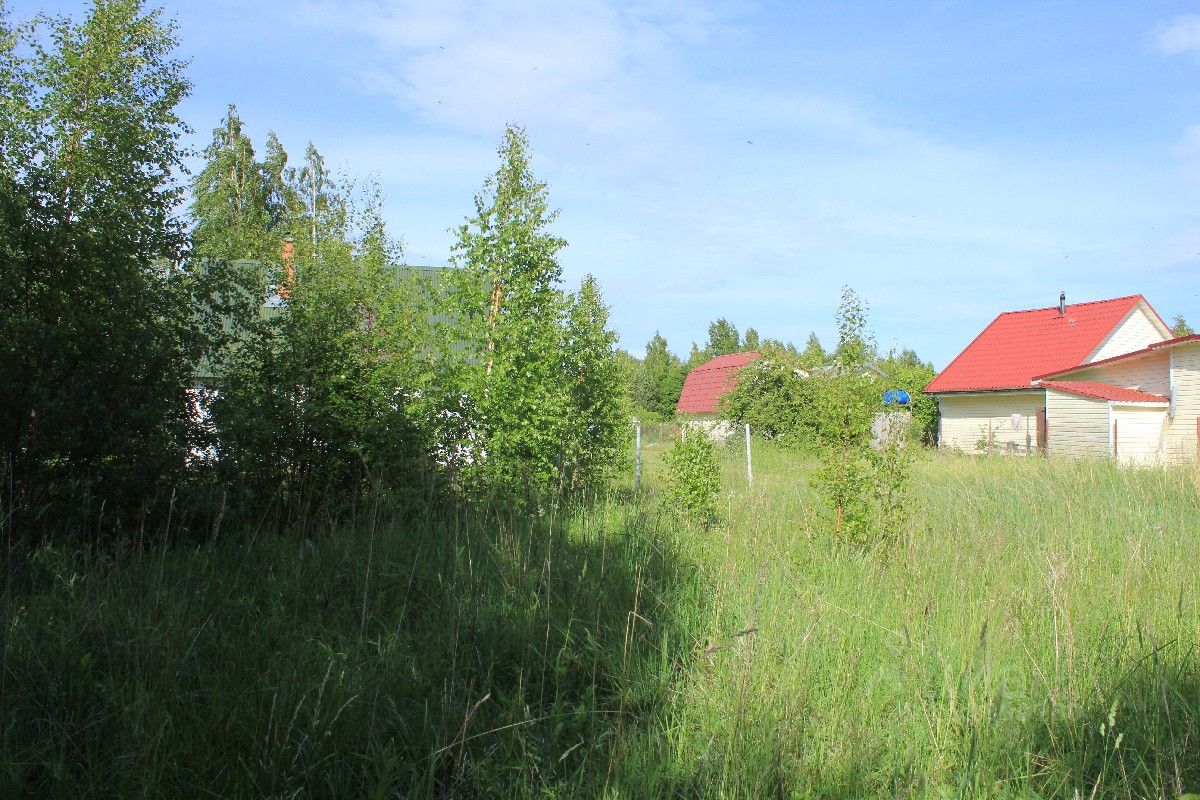 Купить загородную недвижимость в деревне Лаптовицы Гдовского района,  продажа загородной недвижимости - база объявлений Циан. Найдено 4 объявления