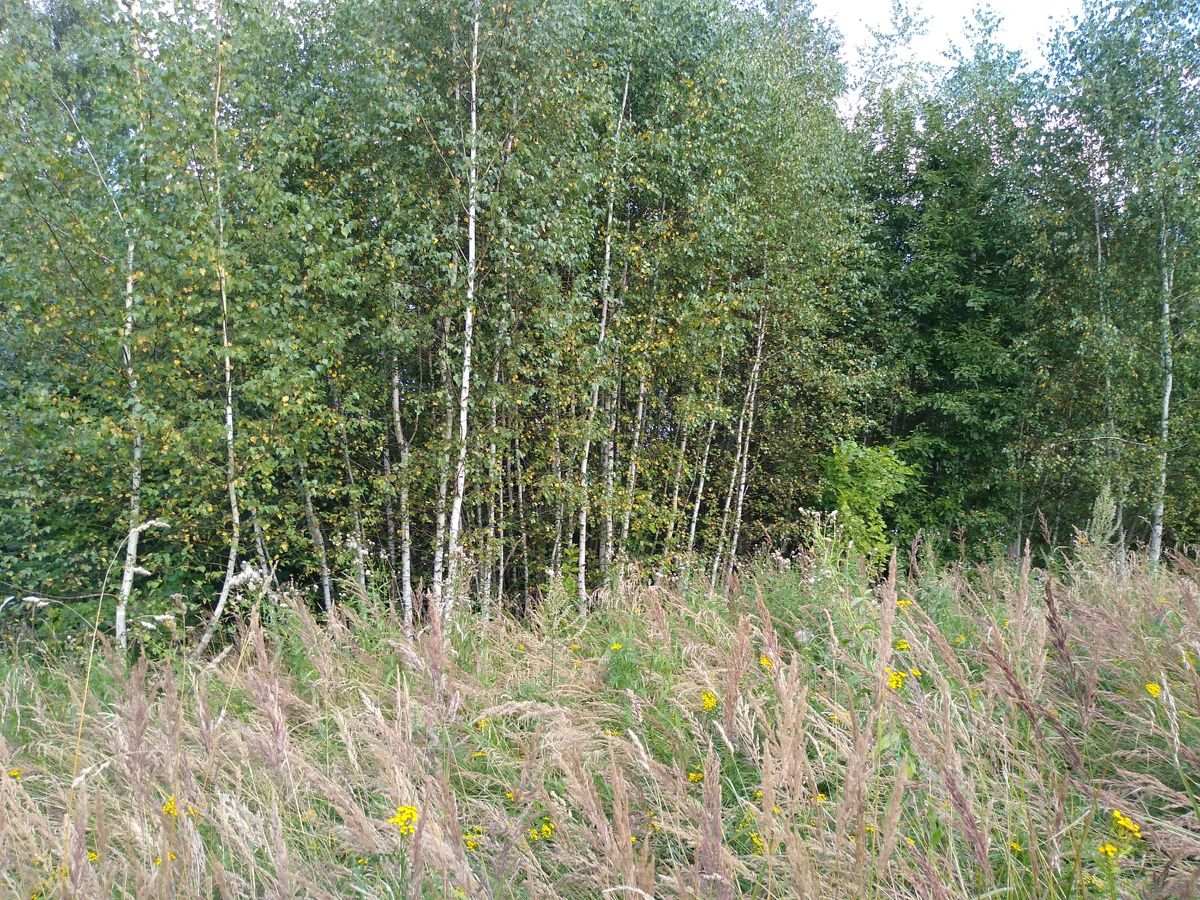 Купить загородную недвижимость в селе Кузьмищево Тарусского района, продажа  загородной недвижимости - база объявлений Циан. Найдено 3 объявления