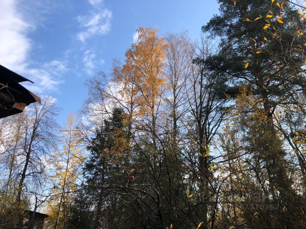 Купить дом на проспекте Урицкого в поселке Левашово в Санкт-Петербурге,  продажа домов - база объявлений Циан. Найдено 1 объявление