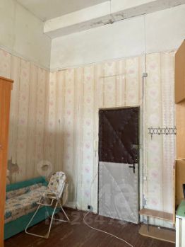 комната 381/23 м², этаж 2