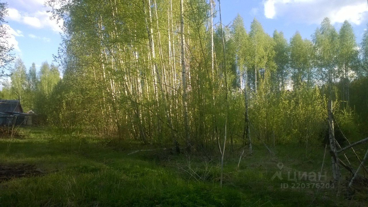 Купить земельный участок в поселке городского типа Тума Клепиковского  района, продажа земельных участков - база объявлений Циан. Найдено 6  объявлений