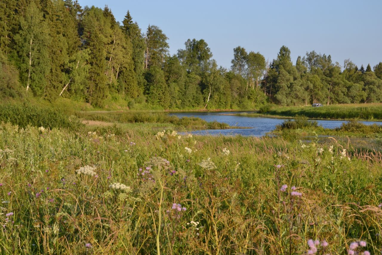 Купить загородную недвижимость в коттеджном поселке Бережки-2 в сельском  поселении Порецкое, продажа загородной недвижимости - база объявлений Циан.  Найдено 1 объявление