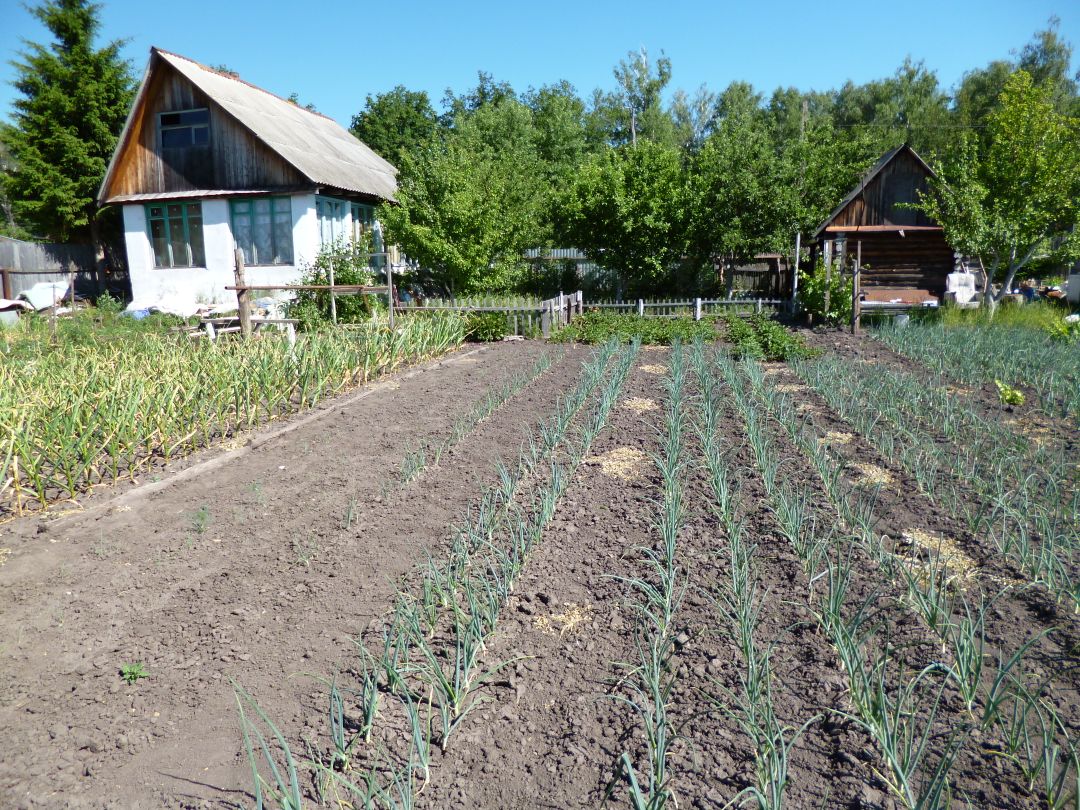 Купить земельный участок в СНТ Лесная Дача Ульяновского района, продажа  земельных участков - база объявлений Циан. Найдено 1 объявление