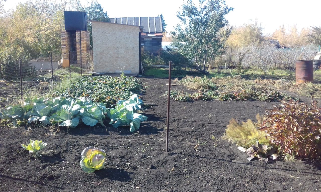 Купить земельный участок в районе Ленинский в городе Магнитогорск, продажа  земельных участков - база объявлений Циан. Найдено 10 объявлений