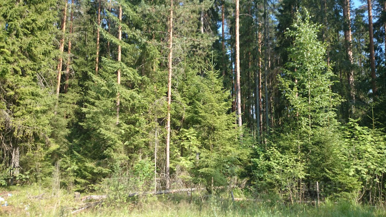 Купить загородную недвижимость в СНТ Поляна в городском поселении Вырицкое,  продажа загородной недвижимости - база объявлений Циан. Найдено 3 объявления