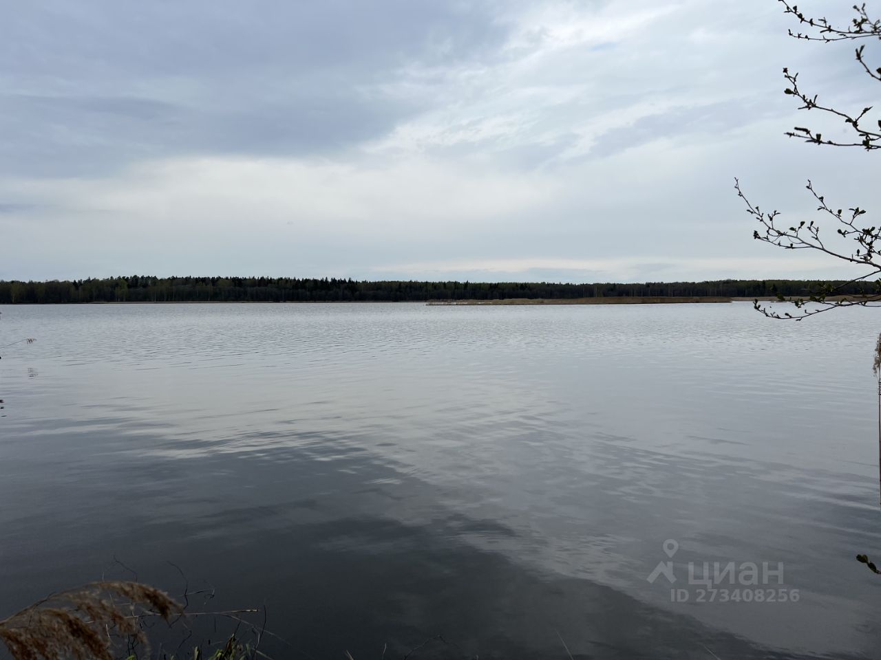 Купить земельный участок в дачном поселке Заповедное Озеро городского  округа Клина, продажа земельных участков - база объявлений Циан. Найдено 7  объявлений