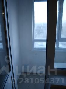 студия, 24 м², этаж 12