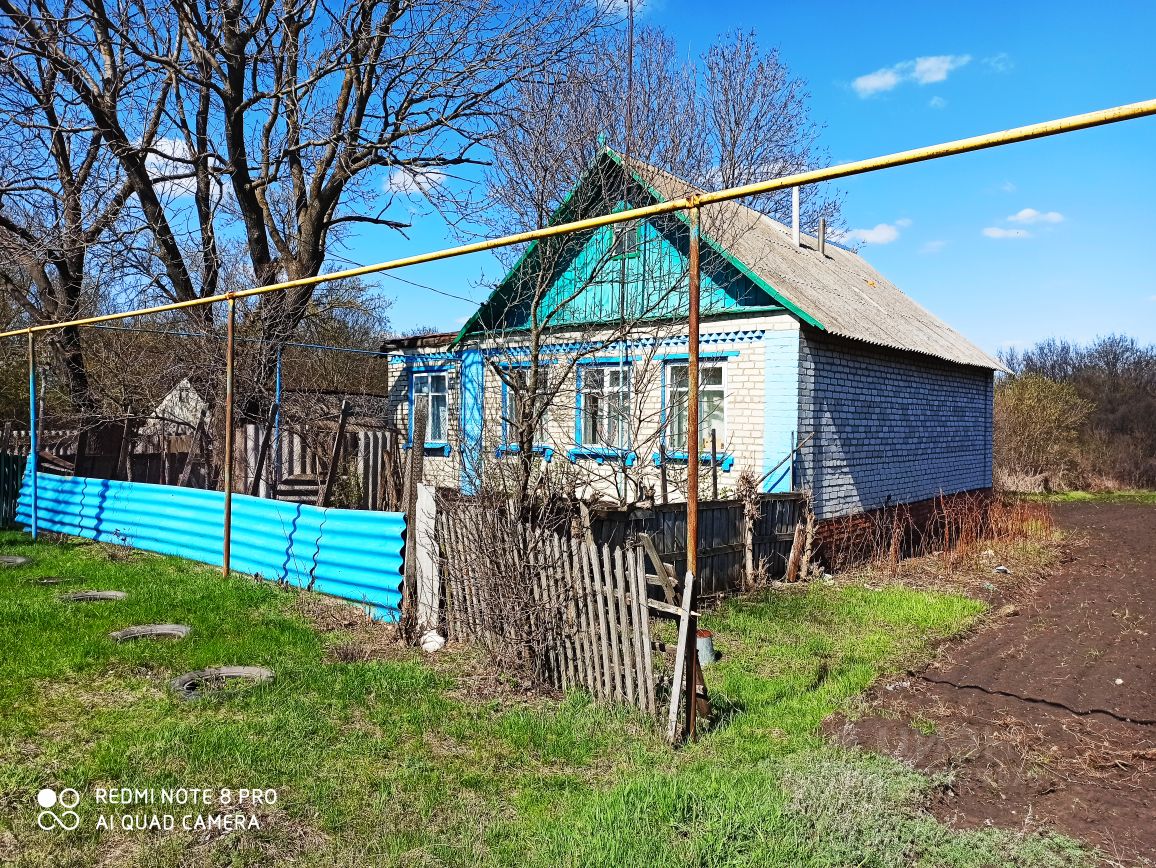 Купить дом 50сот. Белгородская область, Волоконовский район, Шидловское  с/пос, Новоалександровка поселок - база ЦИАН, объявление 269929176