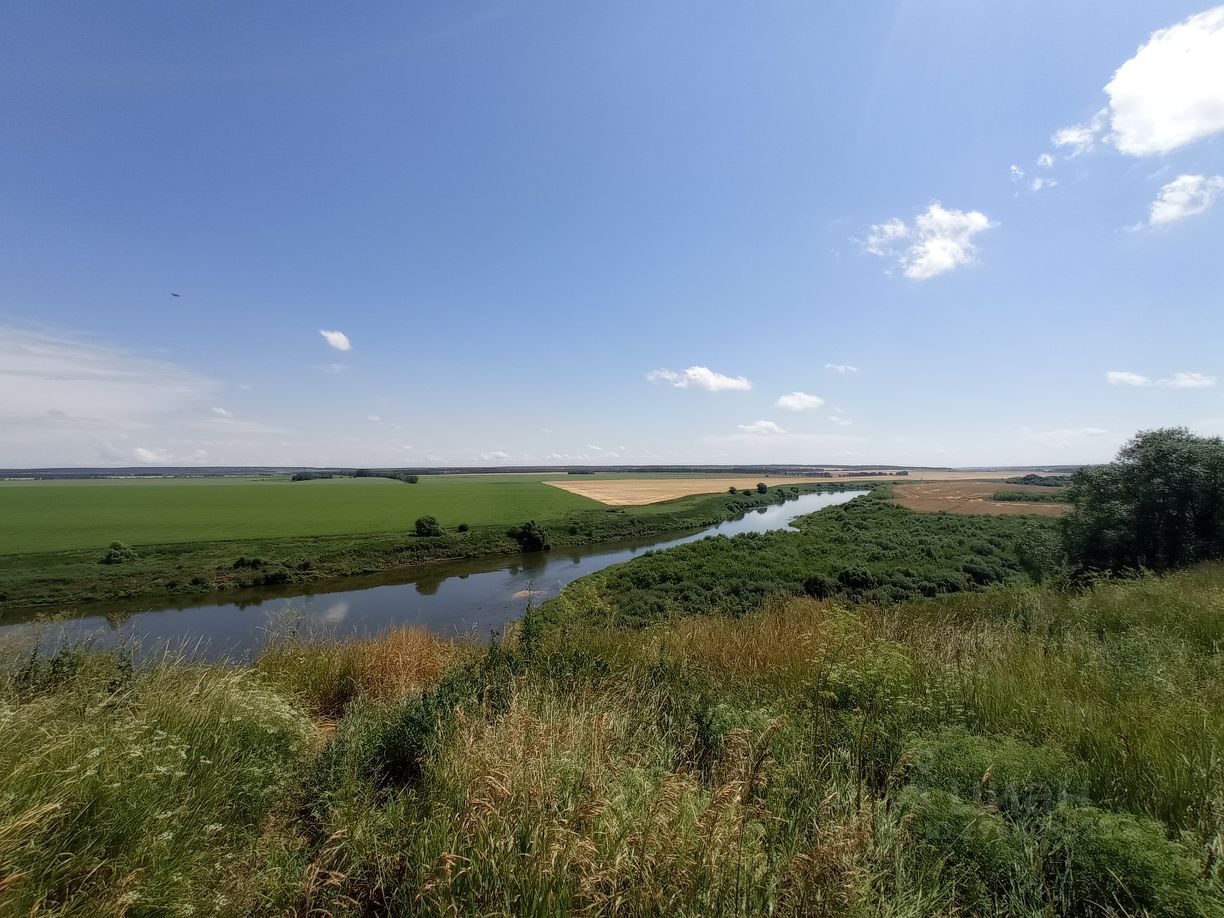 Погода липецкая задонский каменка. Погода липецкая задонский каменка. Погода липецкая задонский каменка. Задонский стерляжье-рыбцово-шемайного комплекс. Кудыкина гора, село каменка.