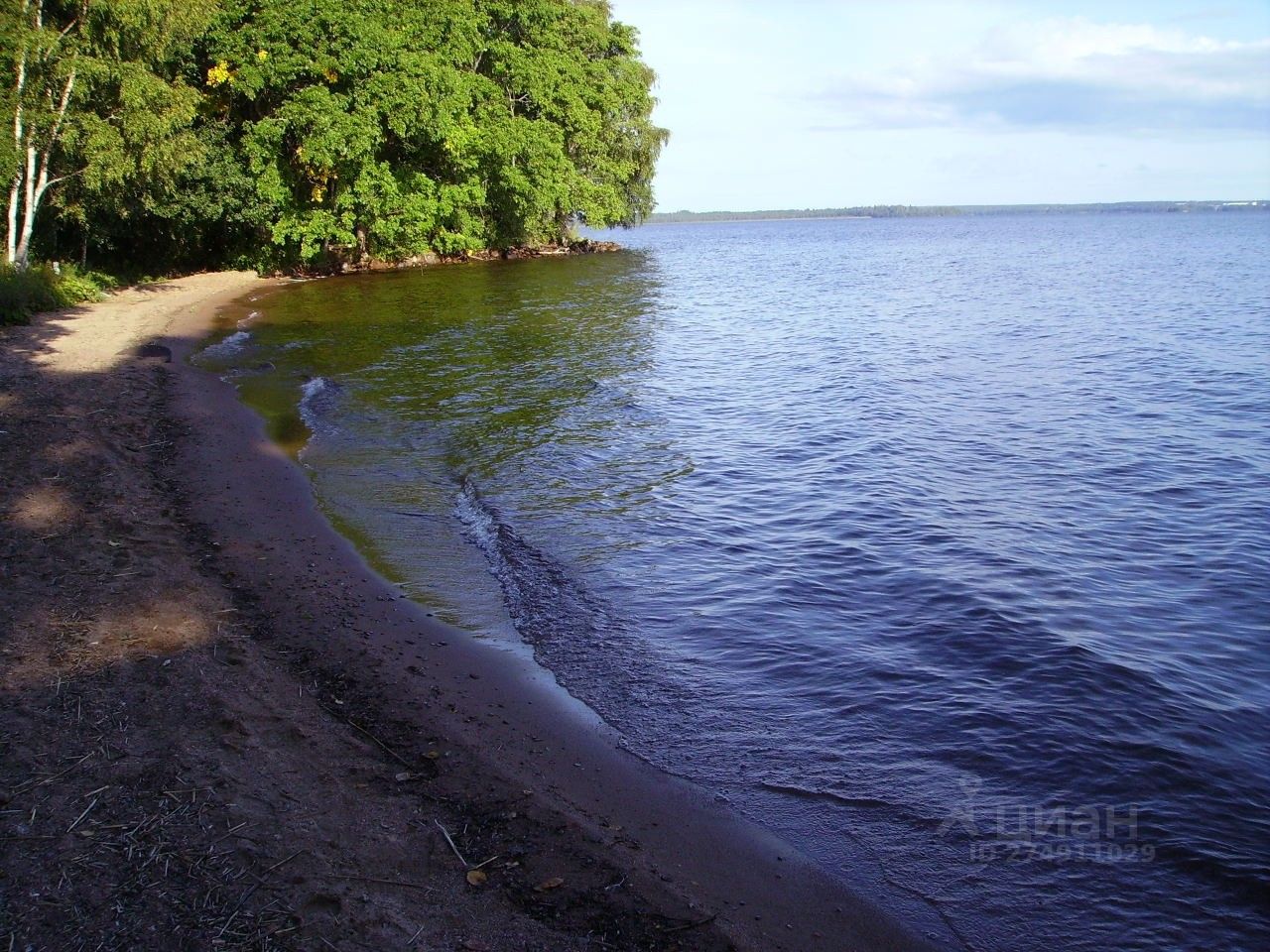Отрадные берега приозерского. Отрадные берега приозерского. Озеро отрадное ленинградская область. Пляж в отрадном ленинградская область. Озеро отрадное ленинградская область.