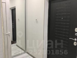 студия, 31 м², этаж 10