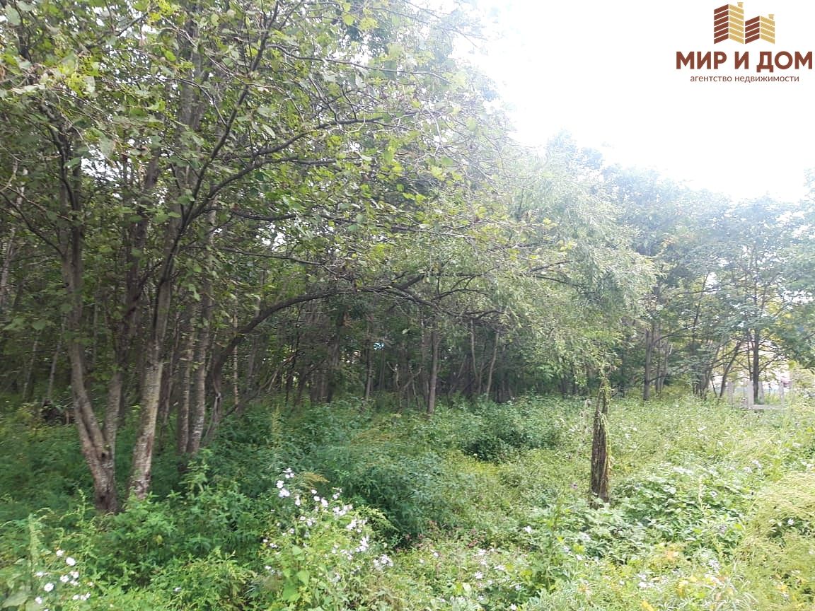 Купить загородную недвижимость на улице Ливадийская в микрорайоне Поселок  Ливадия в городе Находка, продажа загородной недвижимости - база объявлений  Циан. Найдено 1 объявление