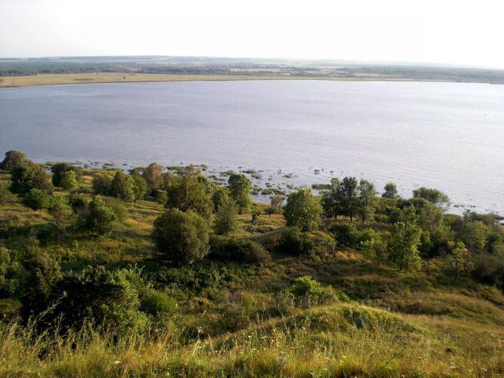 Купить дом в рабочем поселке Васильсурск Нижегородской области, продажа  домов - база объявлений Циан. Найдено 3 объявления