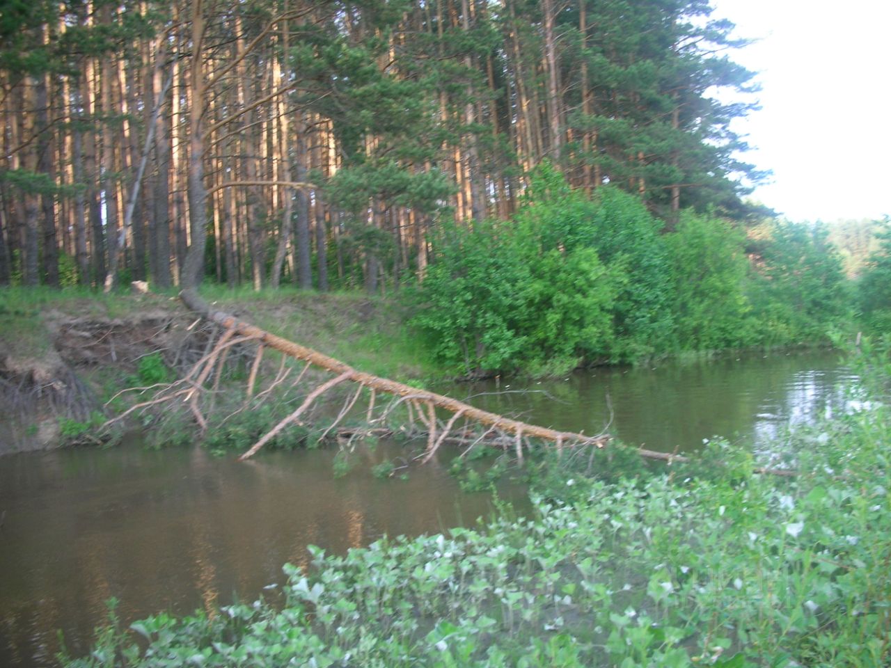 Купить земельный участок в Арзамасском районе Нижегородской области,  продажа земельных участков - база объявлений Циан. Найдено 40 объявлений