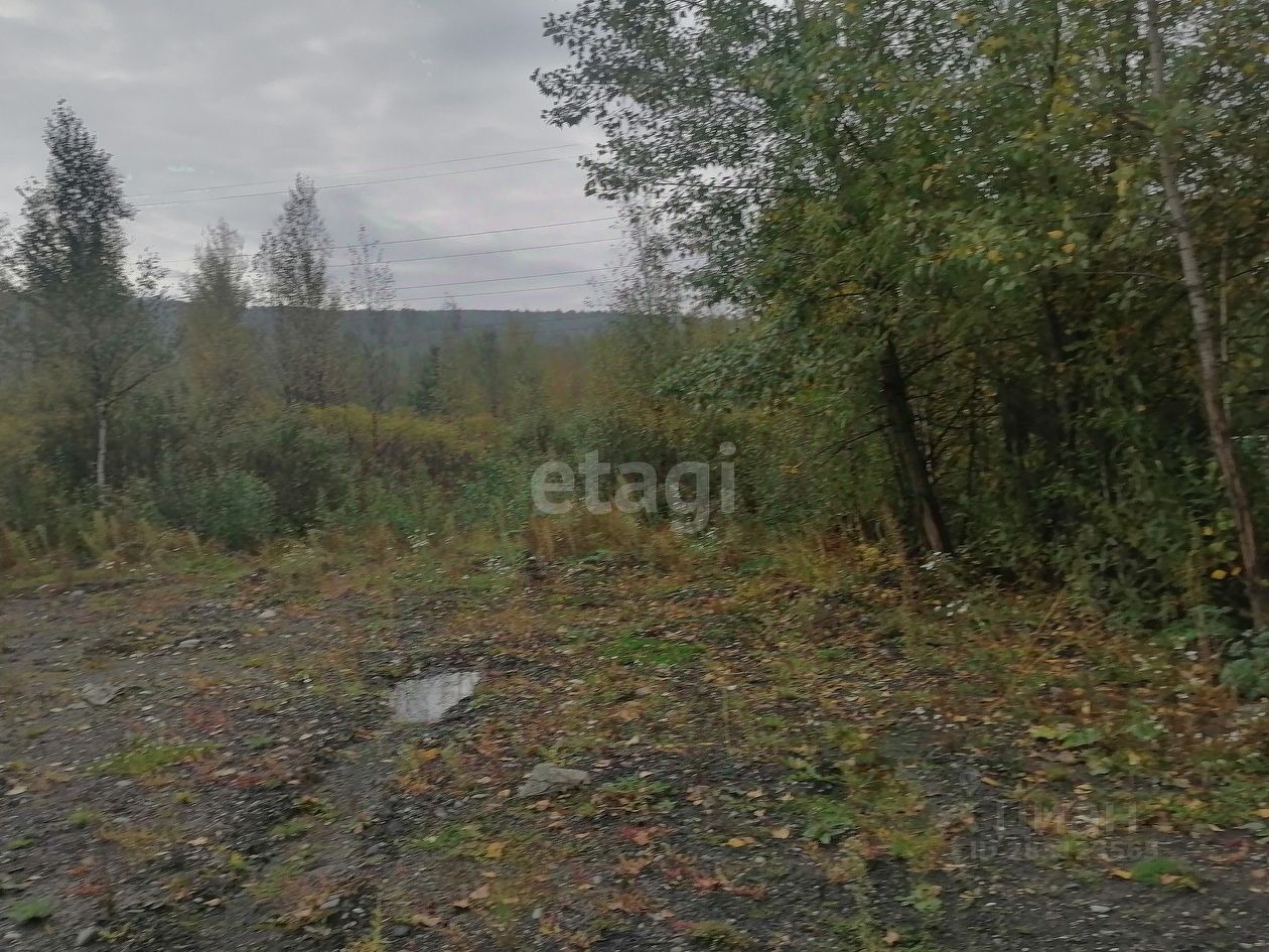 Купить земельный участок в городском округе Междуреченском Кемеровской  области, продажа земельных участков - база объявлений Циан. Найдено 5  объявлений