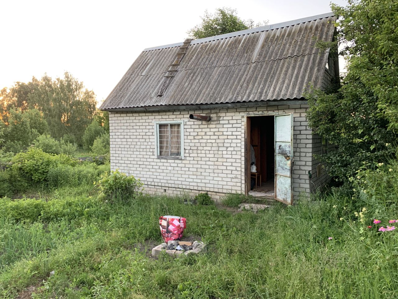 Купить земельный участок в садовое дачное товарищество Здоровье в селе  Толмачево, продажа земельных участков - база объявлений Циан. Найдено 3  объявления